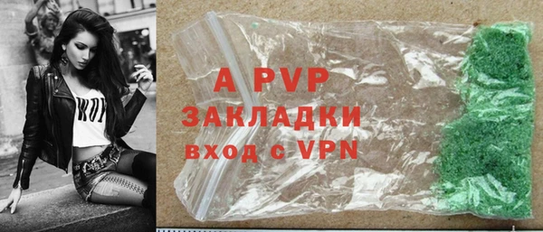 стаф Березники